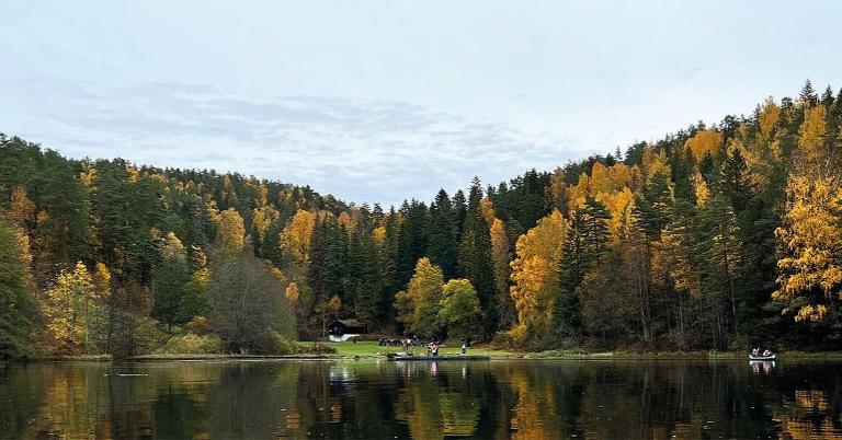 Teamsmøte med KLD om handlingsplan for naturmangfold